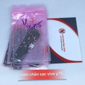Cụm Chân Sạc Vivo Y75 / V7
