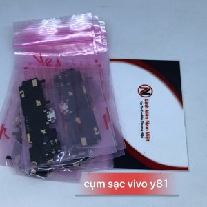 Cụm Sạc Vivo V81