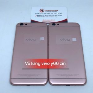 Vỏ lưng Vivo Y66 zin
