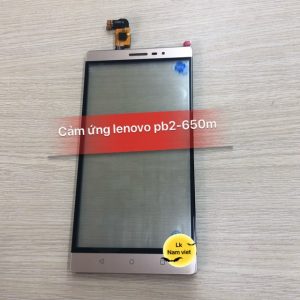 Cảm ứng Lenovo Pb2-650M