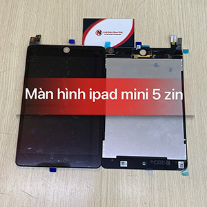 Màn hình Ipad mini 5