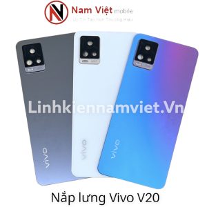 Nắp lưng Vivo V20 ( Zin liền kính Camera )