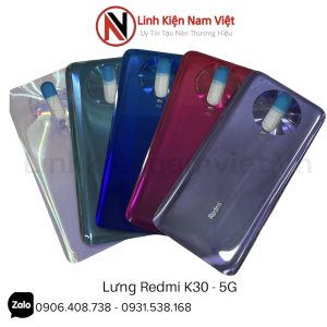 Nắp lưng Xiaomi Redmi K30 - 5G ZIN ( không kèm kính camera )