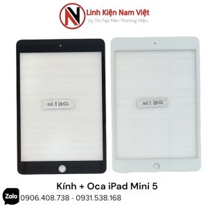 Kính liền keo iPad Mini 5