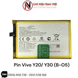 Pin Vivo Y20