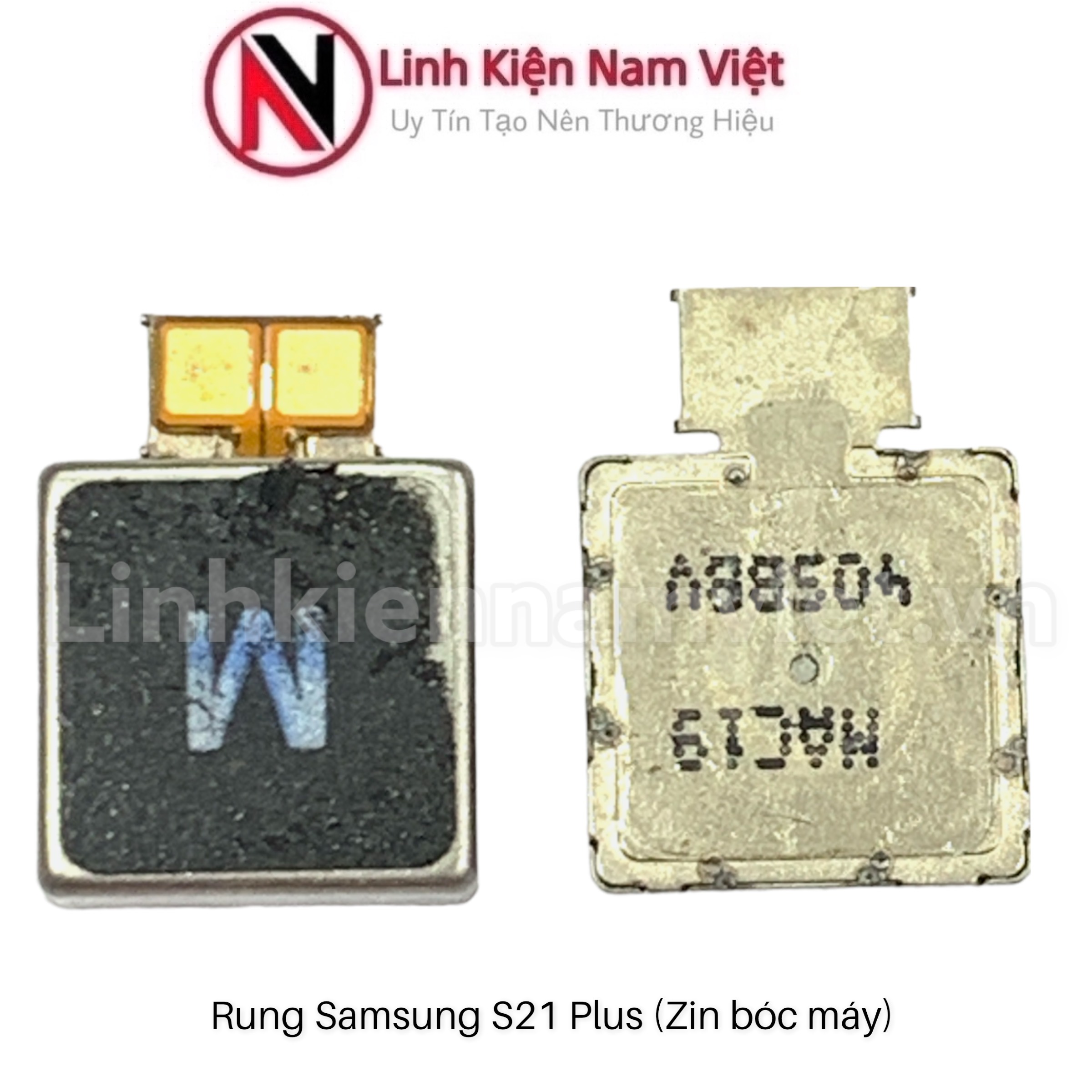 Cục Rung Samsung S21 Plus
