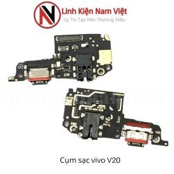 Cụm chân sạc bộ Vivo V20_linhkiennamviet