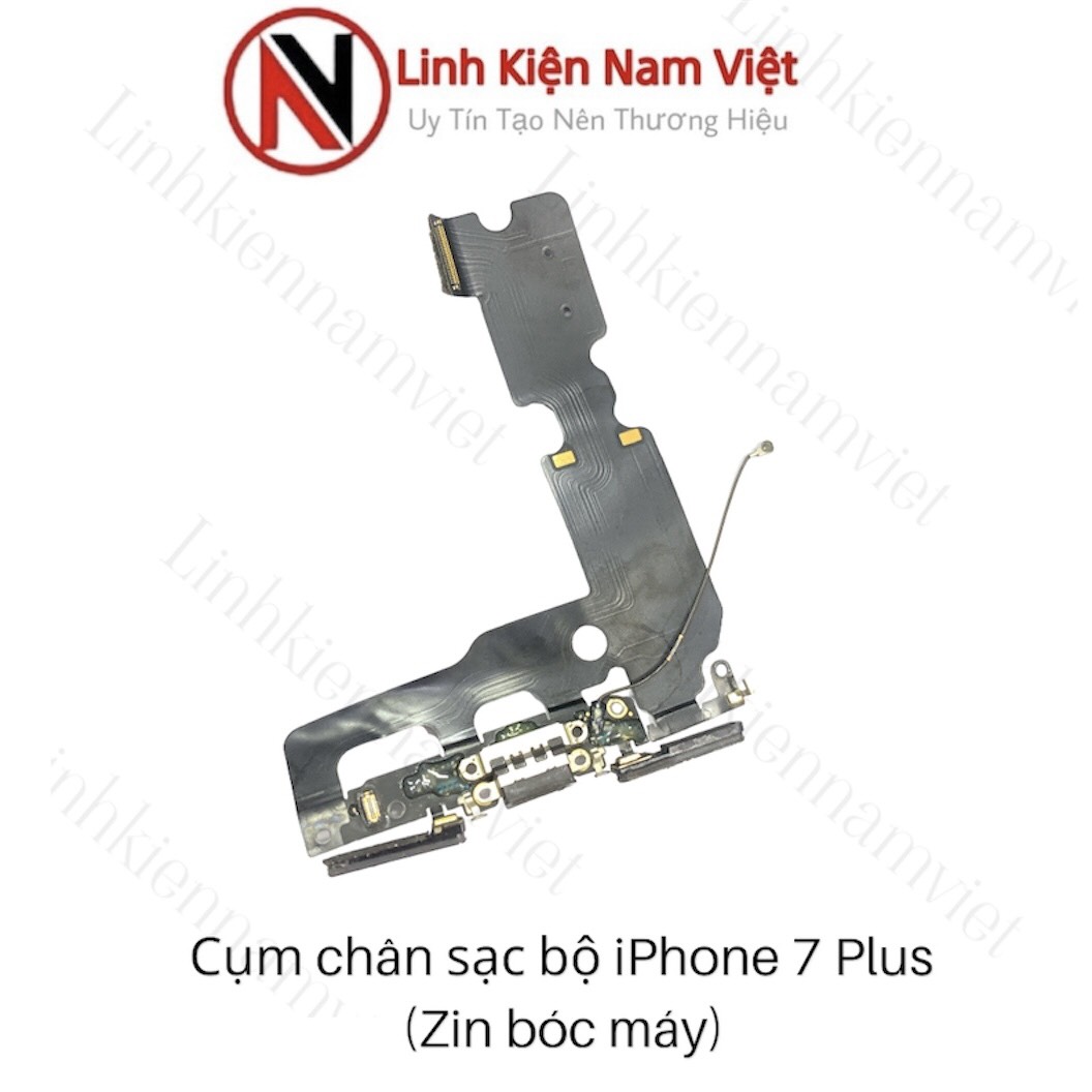 Cụm chân sac iPhone 7 Plus ( Zin bóc máy )