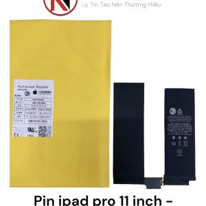 Pin iPad Pro 11 inch - 2020 ( Zin Đại Bàng)