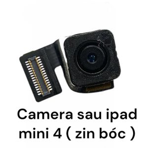 Camera sau iPad Mini 4 (Zin máy)
