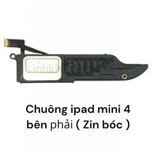 Chuông loa ngoài iPad Mini 4 (Zin máy) Bên phải
