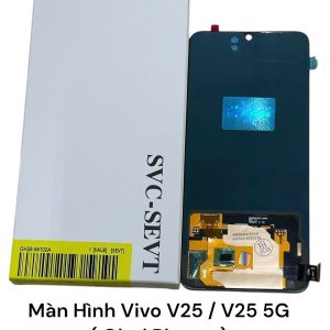 Màn Hình Vivo V25 / V25 5G ( Oled Pinsen )