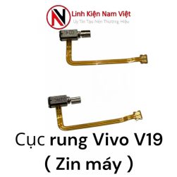 Cục rung Vivo V19 ( Zin máy )