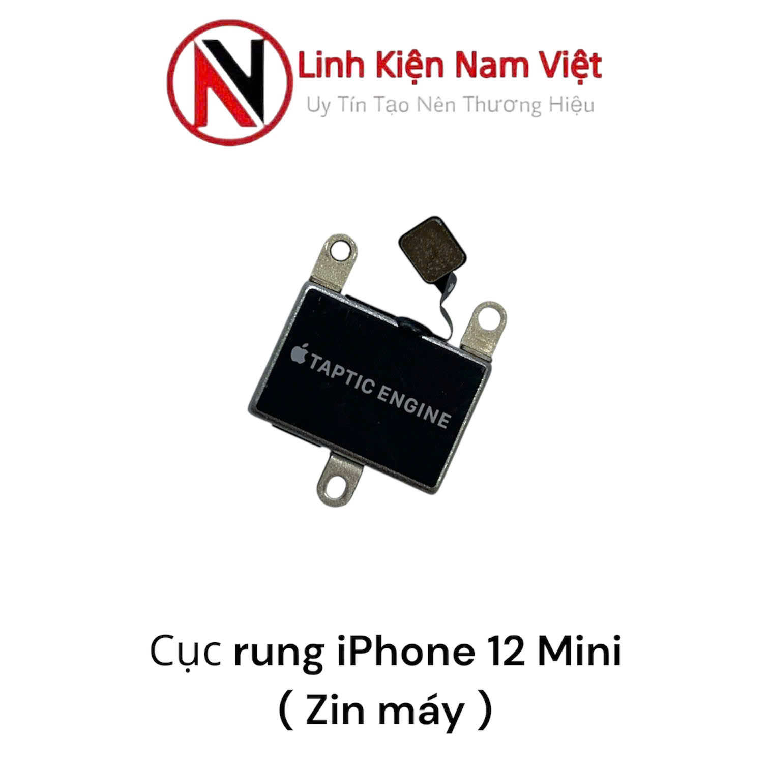 Cục rung iPhone 12 Mini ( Zin máy )