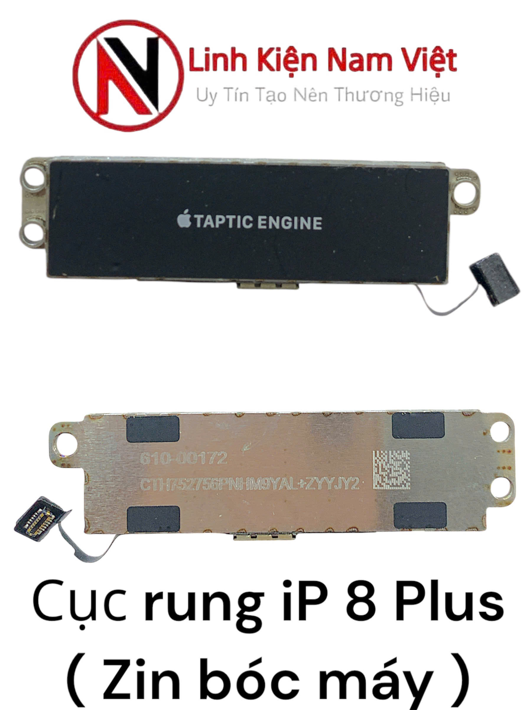 Cục rung iPhone 8 Plus ( Zin bóc máy )