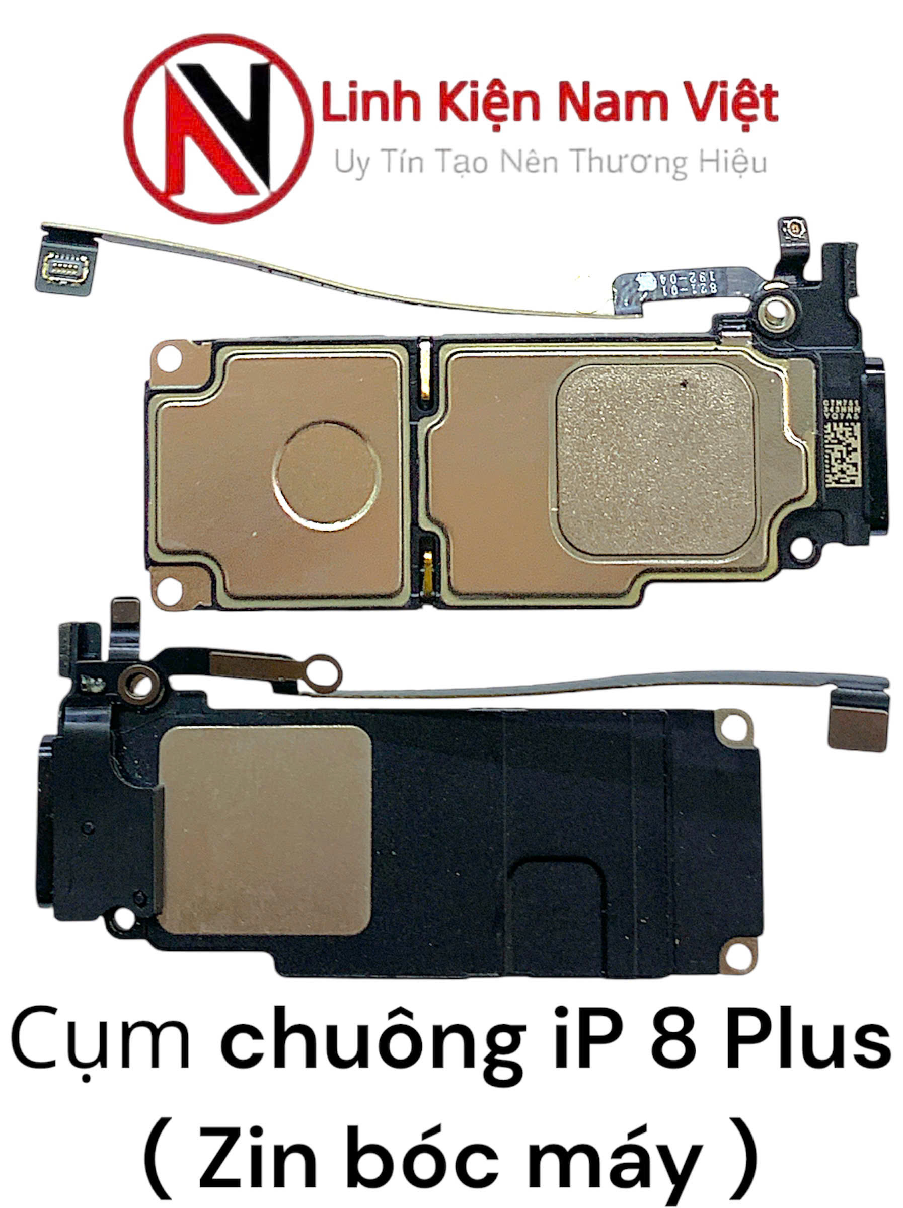 Cụm Chuông ngoài iP 8 Plus ( Zin bóc máy )