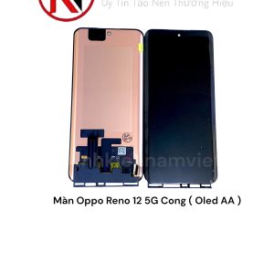 Màn Oppo Reno 12 5G Cong ( Oled AA )