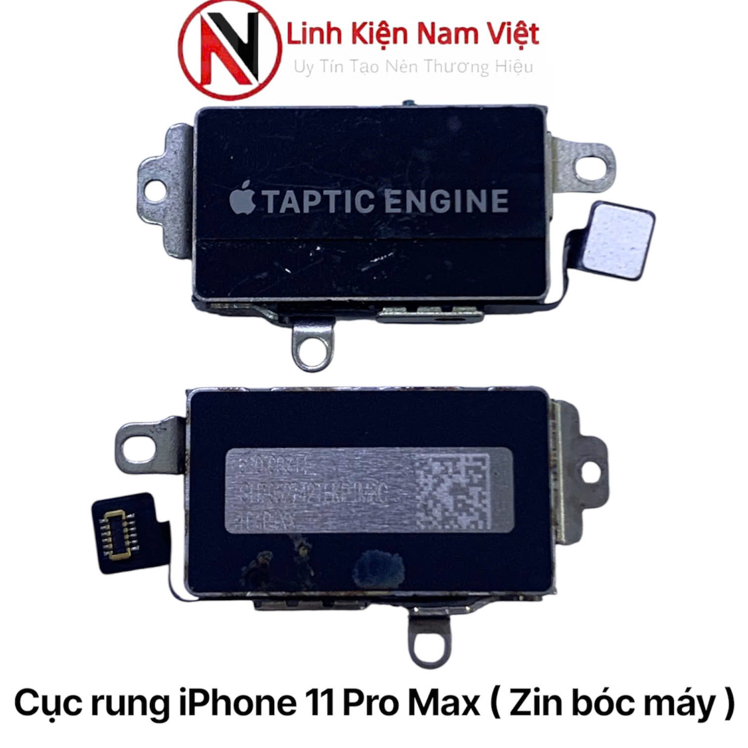 Cục rung iPhone 11 Pro Max ( Zin bóc máy )